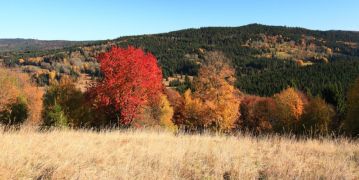 Podzimní foto šumavy - ubytování Šumava